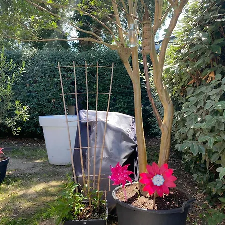 אתר קמפינג Le Lolipop *