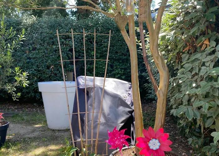 캠프장 Le Lolipop *