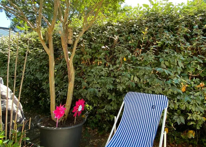 캠프장 Le Lolipop *